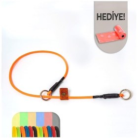 Resim Pakuna Köpek Eğitim Tasması, Ayarlanabilir Boğma Tasma 