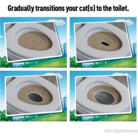 Resim MCM Group Citikitty Kedi Tuvalet Eğitim Seti 