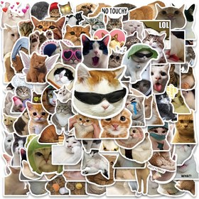 Resim 100 adet Komik Kedi MEME Vinil Sticker, Yaratıcı DIY Stickerlar, Bardak Buzdolabı Kitap Bagaj Masa Kask Kaykay Kamera Gitar Laptop Telefon Çıkartmaları 