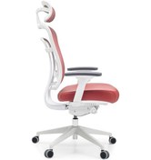 Resim Passion Oyuncu Koltuğu Ofis Çalışma Makam Koltuğu 