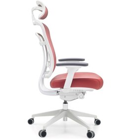 Resim Passion Oyuncu Koltuğu Ofis Çalışma Makam Koltuğu 