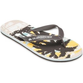 Resim Quiksilver Aqyl101430 Molokai Art 25 Erkek Terlik Beyaz 
