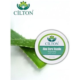 Resim Cilton Aloe Vera Vazelin Aloe Vera Vaseline 100 Ml 