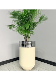 Resim Elegant Dekoratif Krom Darbuka Krem Saksı 70cm Elgnt70krmsakb 