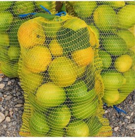 Resim 24X48 File Çuval Limon Filesi (25 Adet) Limon Ceviz Fındık Çuvalı 