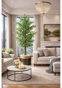 Resim Benjamin 180 Cm Ağaç Lux Metal Saksı Dahıldır Yeşil 
