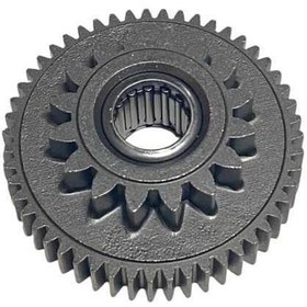Resim MARŞ UFAK DİŞLİ CYGNUS L OEM 