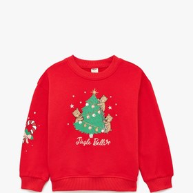 Resim Kız Bebek Pamuklu Uzun Kollu Bisiklet Yaka Şardonlu Baskılı Sweatshirt 