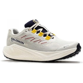 Resim Salomon 479532 Aero Blaze 3 Grvl Gtx Outdoor Erkek Ayakkabı Krem 