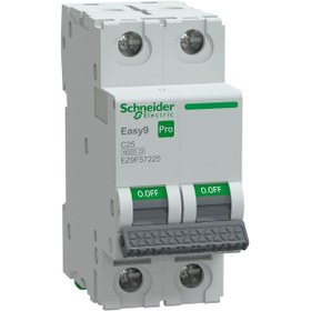 Resim Schneider Electric EZ9F57225 Pro 2 Faz 25A 6 Ka C Tipi Sigorta 