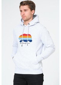 Resim Süzene Nakış Ayı Baskılı Kapüşonlu Gri Sweatshirt Polarlı Çok Renkli 