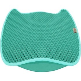 Resim Cattie Taraklı Model Kum Toplayıcı Fonksiyonel Kedi Paspası Turquoise - Kedi Model L Boy 50-75cm 