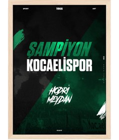 Resim Kocaelispor - Poster / Doğal / 60x80 