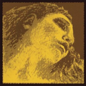 Resim Pirastro 415021 Evah Pirazzi Gold Keman Teli | Profesyonel Solist Teli 