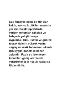 Resim AGRodal Tarım Ata Tohumu Yöresel Kekik Tohumu 1000 Adet Tohum 