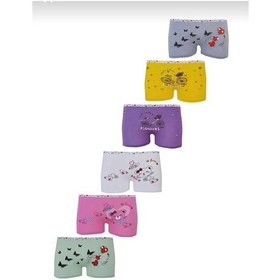 Resim Tutku 0181 Kız Çocuk Desenli Boxer 6 Adet 001 