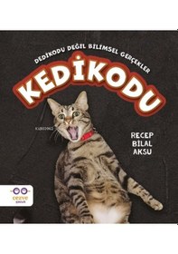 Resim Kedikodu - Recep Bilal Aksu - Cezve Çocuk 