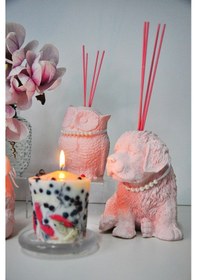 Resim Missi İnci Kolyeli Baykuş Heykel İris Pudra Oda Kokusu 