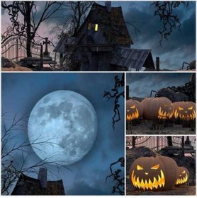 Resim Pazly Çocuklar Bayramı Portre Arka Planı - Balkabağı Desenli W-828, 7x5ft, Polyester, Yıkama İmkanı 