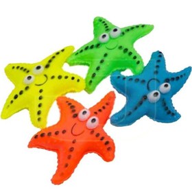 Resim StarChomp Denizyıldızı Figürlü Çiğneme Oyuncağı 