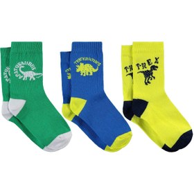 Resim Civil Boys T-Rex 3'lü 2-12 Yaş Erkek Soket Çorap - Standart / 8-9 Yaş 