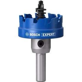 Resim Bosch Expert 45 mm Elmaslı Inox Panç Adaptörlü 2608901428 