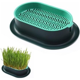 Resim Mufunye Kedi Çimi Ekici Hidroponik Yetiştirme Kiti İç Mekan İçin Topraksız Kedi Dostu 