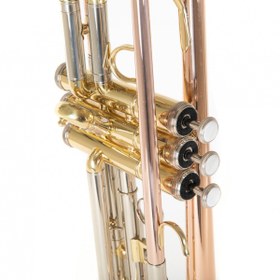 Resim Roy Benson TR-202G Bb Trompet (Gold Brass) | Altın Pirinç Kalak Sıcak Ton 