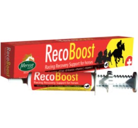 Resim Mervue Recoboost pasta - 80 