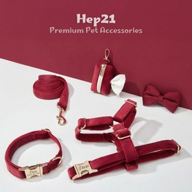 Resim Dog Collar Named Claret Red Velvet Collar 492893 - 5pcs set / XL 