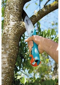 Resim Bahçe Bahçıvan El Testeresi 