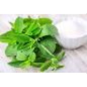 Resim Mega Paket 500 Adet Tohum Stevia Tohumu Şekerotu Tohumu Şeker Otu Tohumu 