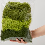 Resim 100g Yapay Sığır - Yeşil Bitki Çim Dekorasyonu, Terrariumlar, Kayaçlar ve Mini Peyzajlar için, El Sanatları ve Sahne Tasarımı için İdeal, El Sanatları Terrarium Malzemesi | Doğal Görünüm Sığır | Dayanıklı Yapay Bitki 