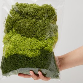 Resim 100g Yapay Sığır - Yeşil Bitki Çim Dekorasyonu, Terrariumlar, Kayaçlar ve Mini Peyzajlar için, El Sanatları ve Sahne Tasarımı için İdeal, El Sanatları Terrarium Malzemesi | Doğal Görünüm Sığır | Dayanıklı Yapay Bitki 