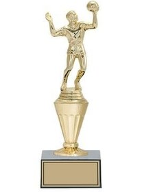 Resim Seftil FG010C Voleybol Figürlü Ödül Kupası 26 cm 