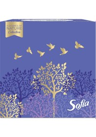 Resim Sofia Küp Kutu Mendil 50'li 5 Adet 