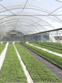 Resim MRT PLASTİK 160 micron NAYLON ÖRTÜ, ŞEFFAF SU GEÇİRMEZ NAYLON, 2X43 metre 