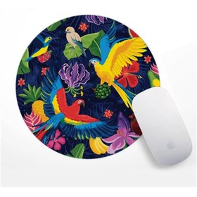 Resim Papağan Desenli Mouse Pad 