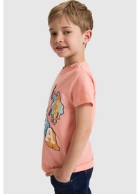 Resim U.s. Polo Assn. Erkek Çocuk Mercan Tişört 50327027-vr204 Coral 