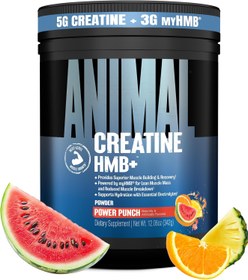 Resim Animal Creatine HMB Powder with Electrolytes for Recovery Daily Energy 30 Servings 