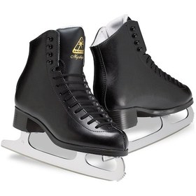 Resim Patendeposu Jackson Mystique 1592 Buz Pateni 