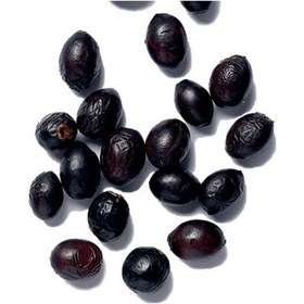 Resim Defne Ağacı Tohumu 60 Adet Laurus Nobilis 