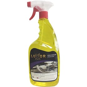 Resim Luxor Kimya Detay Temizleyici 1 Kg 