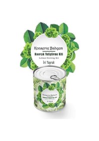 Resim Yta Grup Konserve Bahçem Evde Konservede İri Yapraklı Kıvırcık Yetiştirme Kiti 