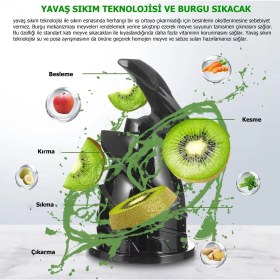 Resim Rowenger Slow Juicer Yavaş Sıkım Katı Meyve Sıkacağı Soğuk Sıkım Meyve Sıkacağı 