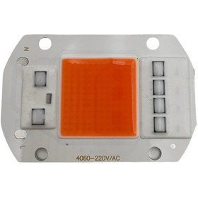 Resim 220 Volt 50 Watt Grow Bitki Yetiştirme Projektörü Cob Ledi 1 Adet 