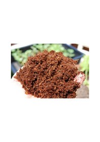 Resim Özel Karışım Kaktüs Sukkulent Toprağı (2 Litre) 