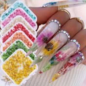 Resim Bahar ve Yaz için 7 Adet Natural Kurutulmuş Çiçek Tırnak Sanatı, DIY Reçine Tırnaklar, Telefon Kılıfları, Takılar ve El Sanatları Süslemeleri için Uygun, Takı Süslemeleri | Sanatsal Tırnak Tasarımı | Zarif El Yapımı Detaylar, Tırnak Sanatı Çiçekleri, Gerçek Kurutulmuş Basın Çiçeği DIY El Sanatları Malzemeleri Kiti 