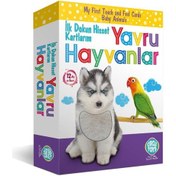 Resim Circle Toys Dokun - Hisset - Tanı Yavru Hayvanlar Eğitim Kartları 