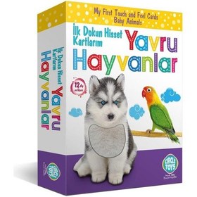 Resim Circle Toys Dokun - Hisset - Tanı Yavru Hayvanlar Eğitim Kartları 